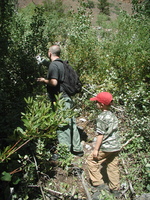 2005-09-03-2768