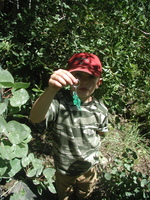 2005-09-03-2772