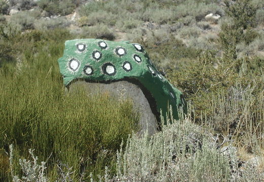 Geocaches