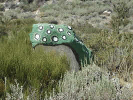 2005-09-03-2781