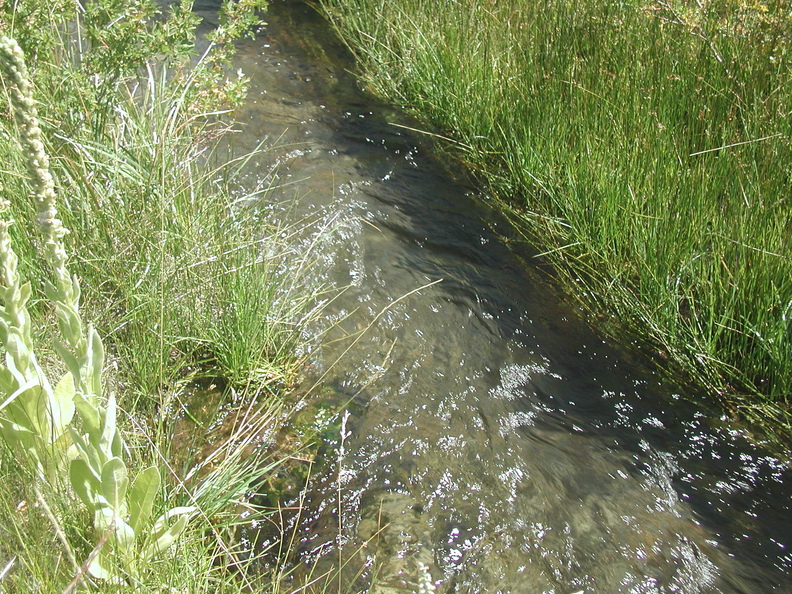 2005-09-03-2788.jpg