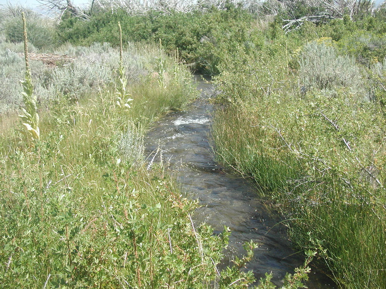 2005-09-03-2789.jpg