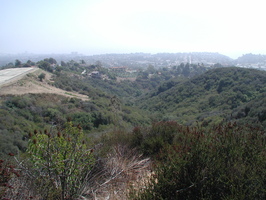2005-09-17-3092
