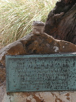 2005-09-17-3094