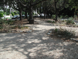 2005-09-17-3095