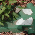 2005-09-17-3099.jpg