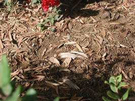 2005-09-17-3102